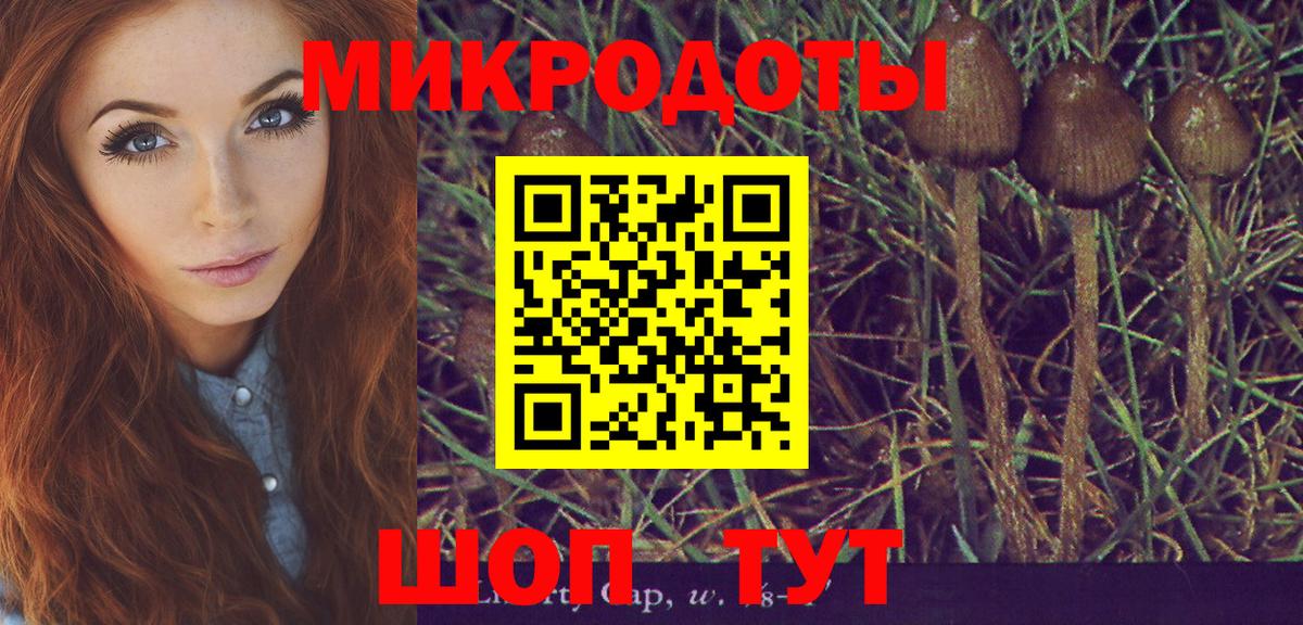 Великий Новгород  Галлюциногенные грибы мухоморы  Вход с VPN 
